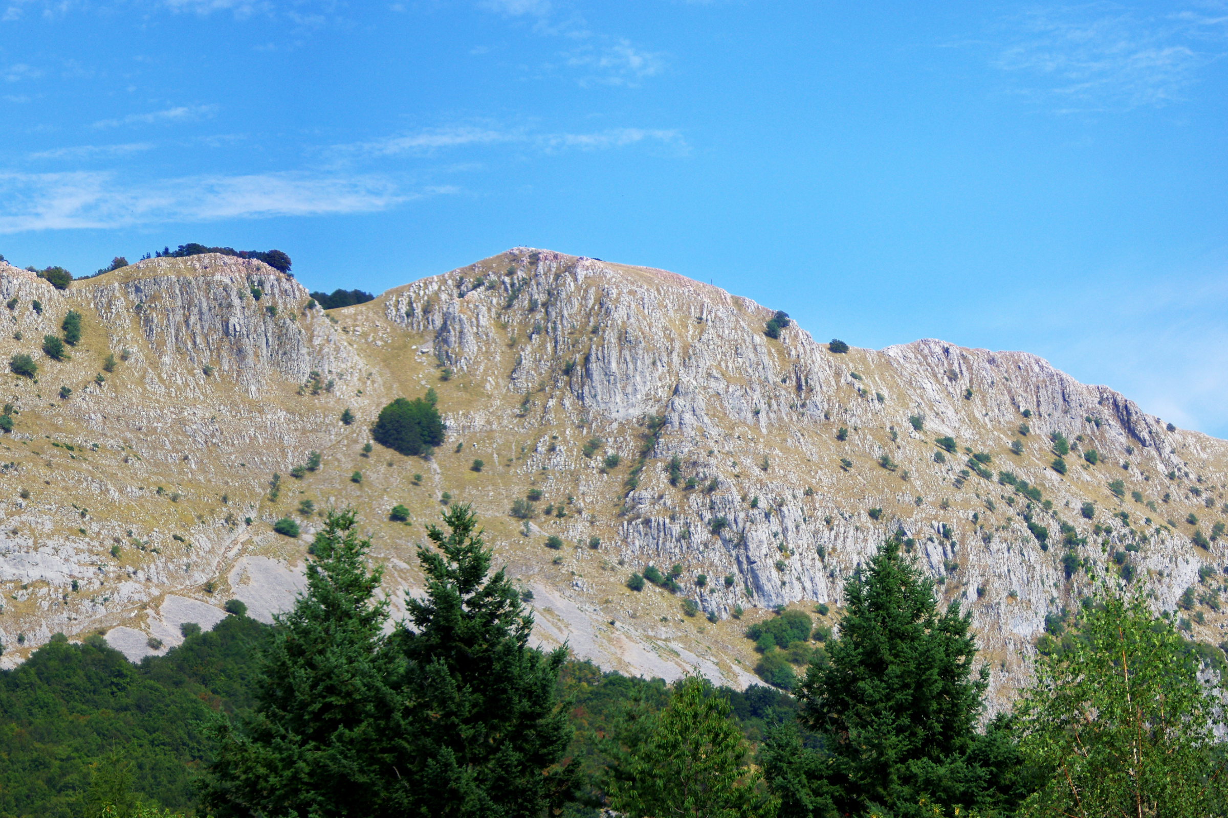 Orecchiella_National_Park[1].webp